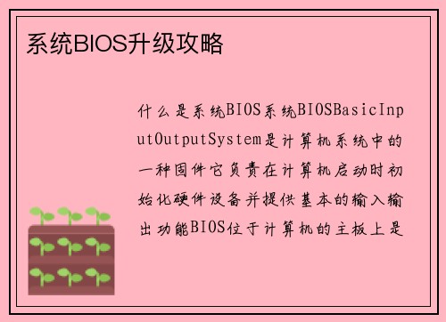 系统BIOS升级攻略